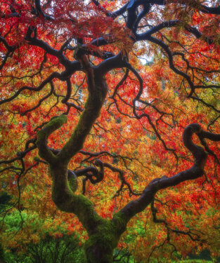 Seasonal