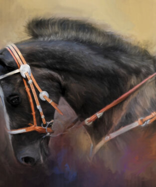 Equestrian