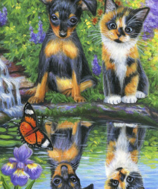 Dogs and Cats