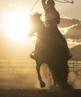 Equestrian