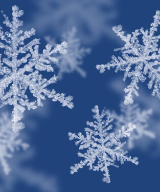 Winter