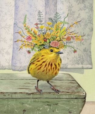 Songbirds