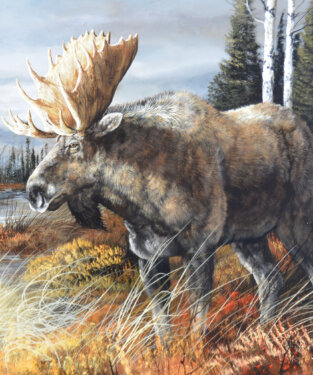 Wildlife