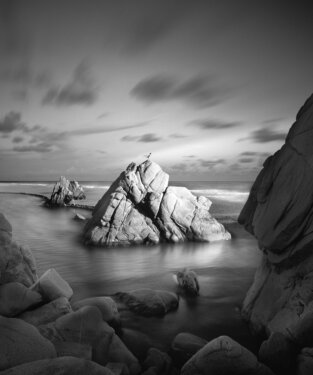 Black and White Black and White