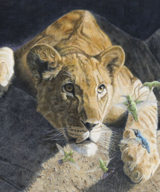 Wildlife