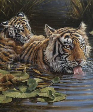 Wildlife Wildlife